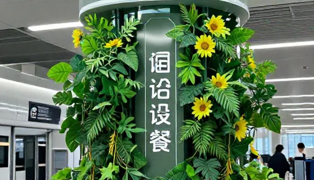 日常诊疗中的康复指导要点及处理方向